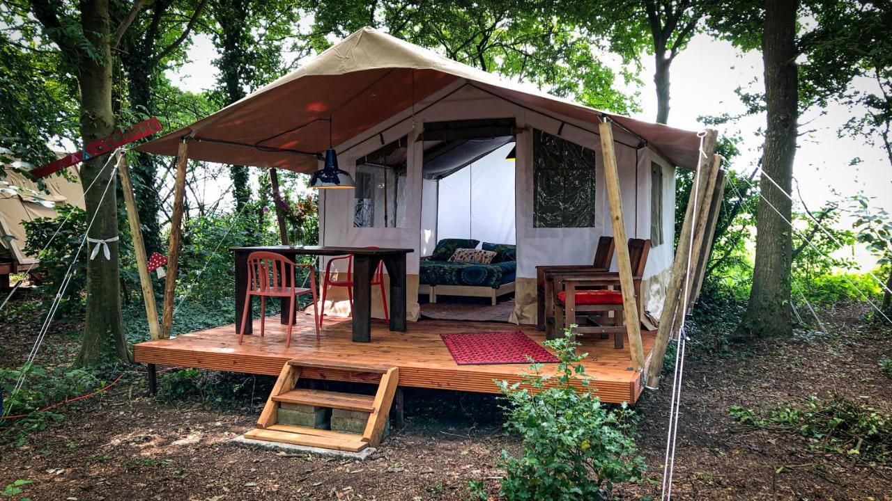 Eco-Camping De Helleborus, Yurt, Bell & Safari Tent, Pipo, Caravans, Dorms And Units Groningen Exterior photo