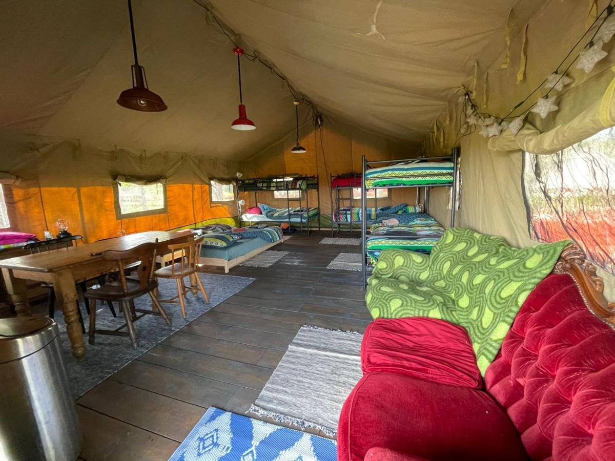 Eco-Camping De Helleborus, Yurt, Bell & Safari Tent, Pipo, Caravans, Dorms And Units Groningen Exterior photo