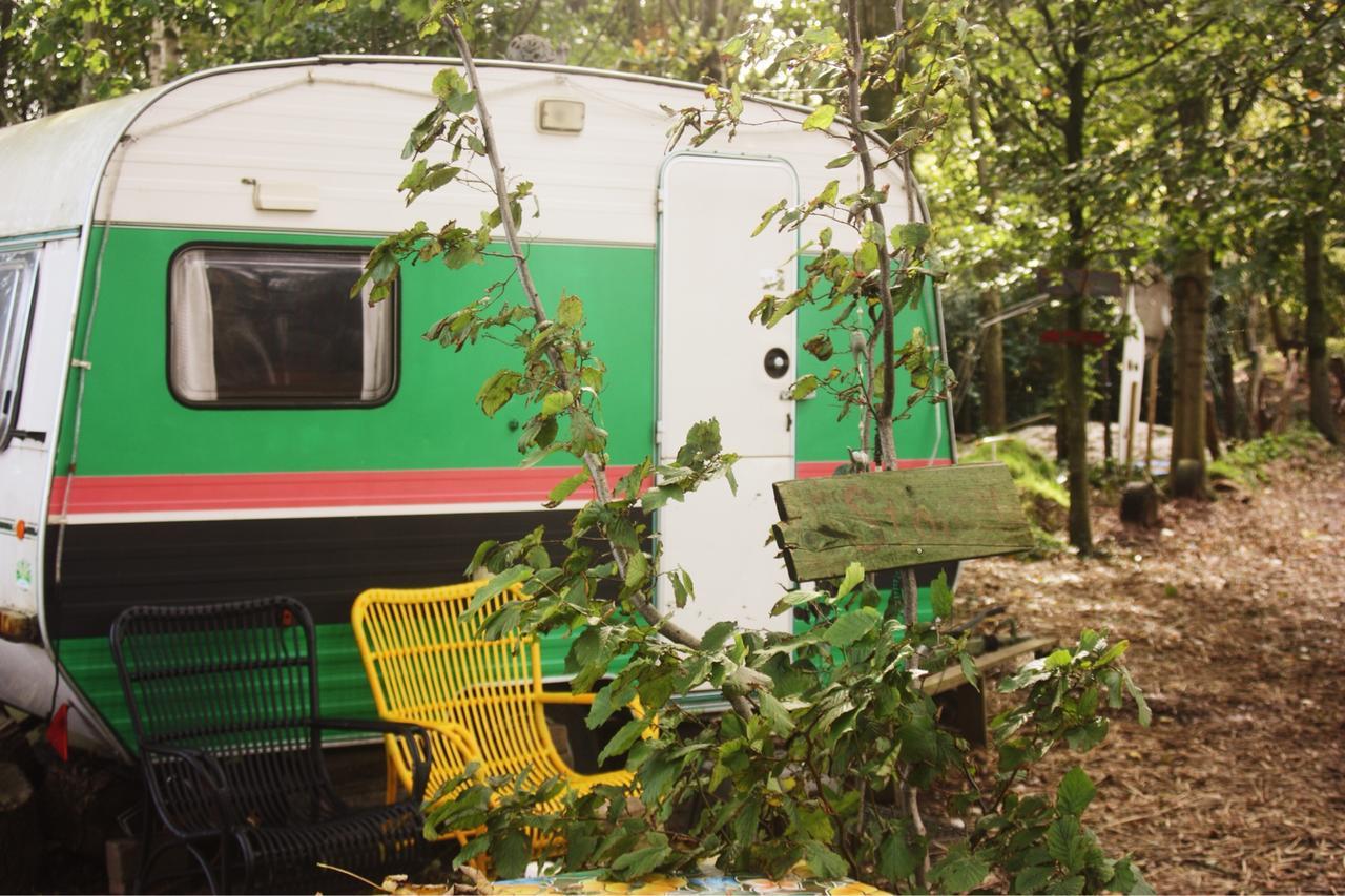 Eco-Camping De Helleborus, Yurt, Bell & Safari Tent, Pipo, Caravans, Dorms And Units Groningen Exterior photo